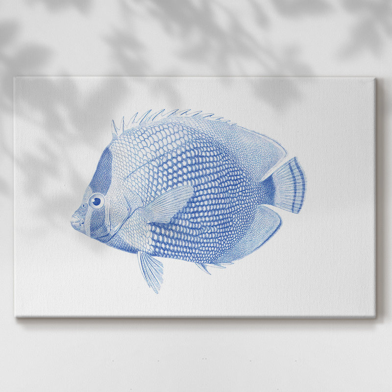 Poisson tropical bleu et blanc VI - Cavas enveloppés de galerie, 40 x 60