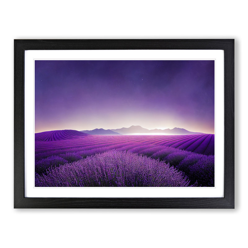 Sparkling Lavender Flower Field - Framed Print, Black, 46cm H x 64cm W x 2cm D