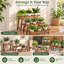 Marjorie  Solid Wood Plant Stand 3 Tier Set of 3