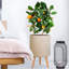 Plaited Style Cylinder Round Planter with Feet-2146352483-2146352486