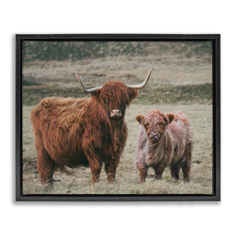 Cadre flottant maman et bébé vache, design par lettré et doublé, Cadre flottant noir de jais, H 17 po x l 21 po