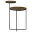Table d'appoint Gunmetal 2 avec surfaces en bois de manguier naturel - Espace de vie décoratif
