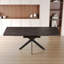 Ensembles de table de salle à manger extensible (doit inclure à la fois la table et la chaise), MDF en métal Modern Home