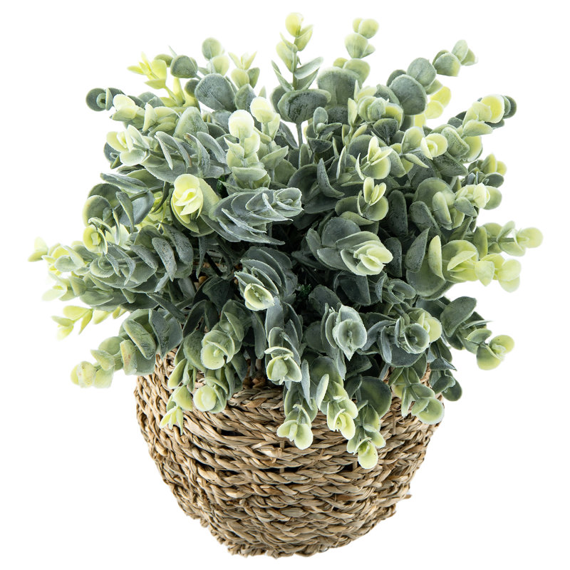 Fausse plante artificielle en rotin et en eucalyptus