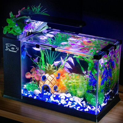 Ensemble de démarrage pour aquarium en verre 5 gallons