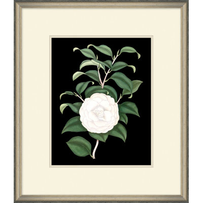 White Floral On Black 4 Painting