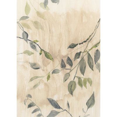 Couleur délavée des feuilles No1