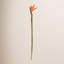 31.5-Inch Bird Of Paradise Stem