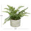 Fougère artificielle Cole and Grey