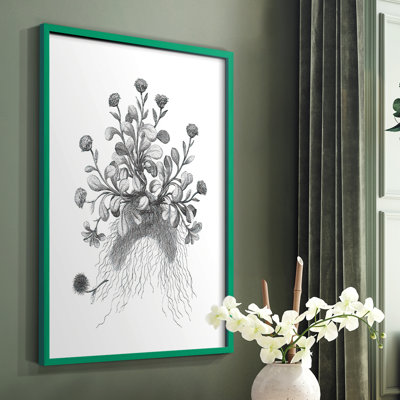 «B&W Plant Speciment VII», reproduction encadrée - bois massif