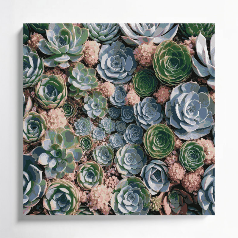 "Botanical Succulents", art mural sur toile grise, H 12 po x l 12 po