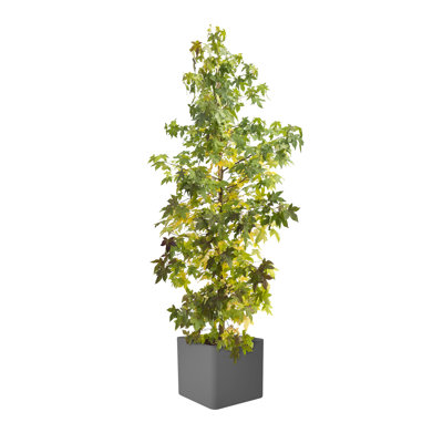 Pot Planter