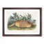 Armadillo 1 Piece Single Picture Frame Painting-57844243-57844246