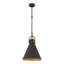 Luminaire suspendu 1 lumière Fenric 13,75 po-124505419