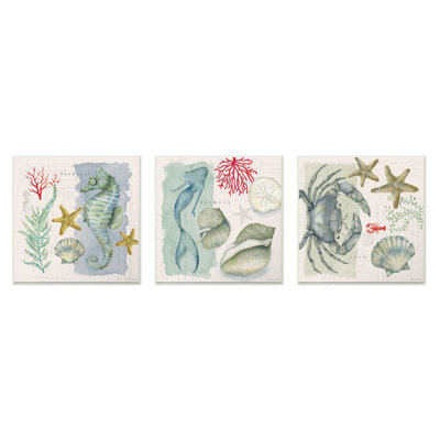 «Watercolor Seahorse Crab Mermaid and Coral Trio» par Stephanie Workman Marrott - ensemble d'impression d'art graphique