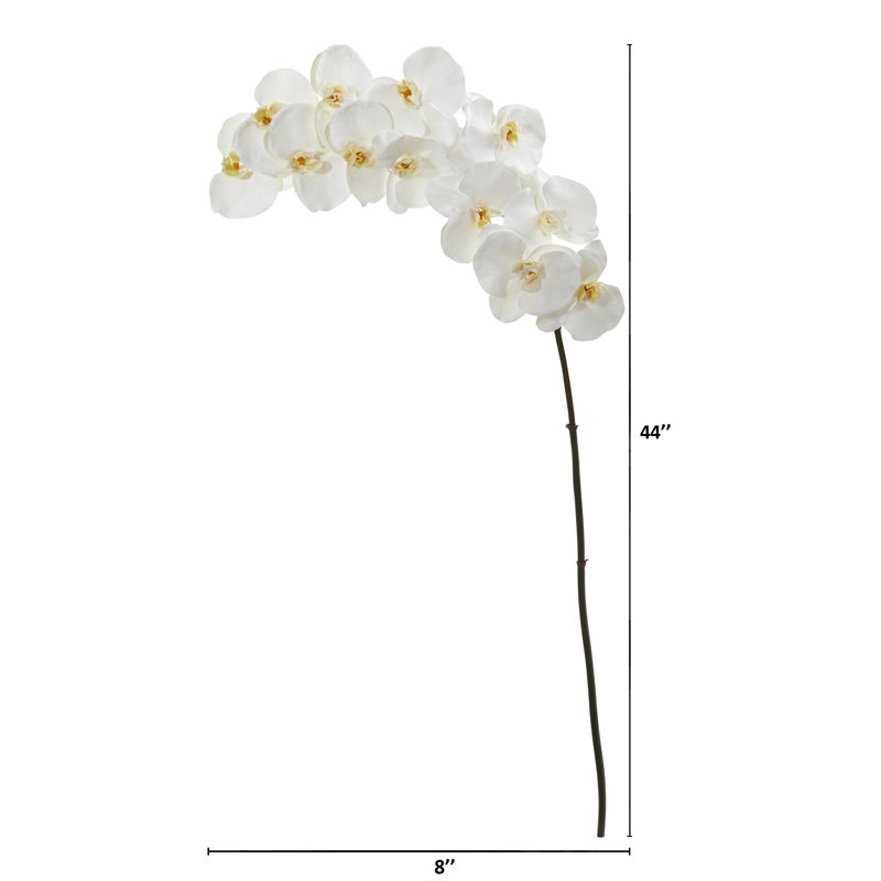 Orchids Arrangement, 44" H x 8" W x 1" D
