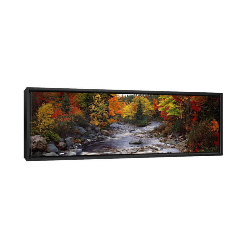 «Stream with Trees in a Forest in Autumn, Nova Écosse, Canada», reproduction de photo sur toile, H 12 po x l 36 po x p 1,5 po