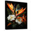 Oiseaux de paradis Paradise I - Art mural oiseaux de paradis-711568765-711568764