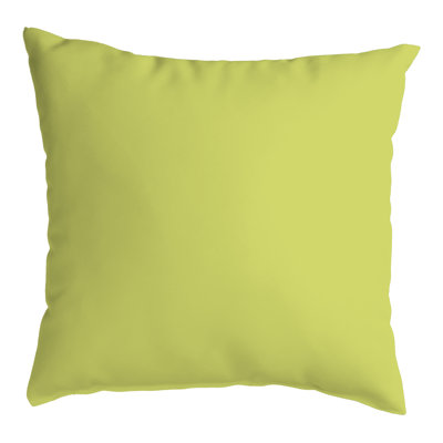 Outdoor Throw Pillow