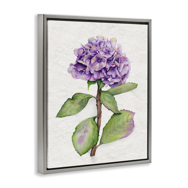 «European Style Hydrangea», art mural encadré sur toile flottante par Levison Design, Cadre flottant gris lustré