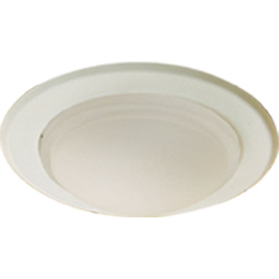 Drop Opal Shower 6" Recessed Trim
