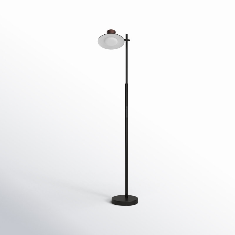 Rolinda 56'' Black LED Task Floor Lamp