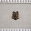 Commode Caroline - Blanc