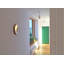 Carys Glass LED Flush Mounted Sconce