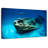Senne USS Kittiwake Dive-108842000