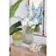 Vase en verre D6.5x12.5 ", vert