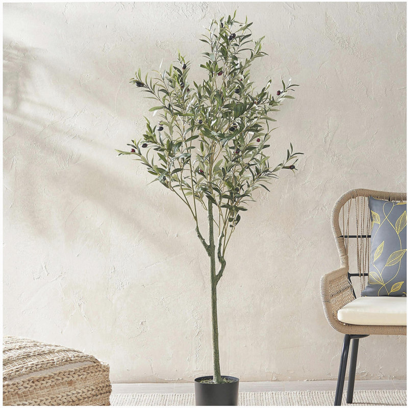 ARBRE D'OLIVE ARTIFIQUE 150CM 150CM, H 59 po x l 23 po