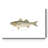 Striped Bass - Wrapped Canvas Print-1457943220