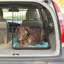 Cage pour animaux Elodie Home On-The-Go-1720757255