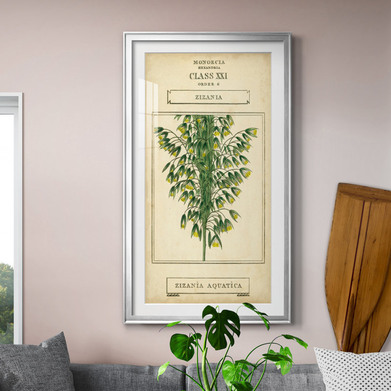 Linnaean Botany I - peinture sur toile encadrée, H 22,5 po x l 42,5 po x P 1,5 po, Argent