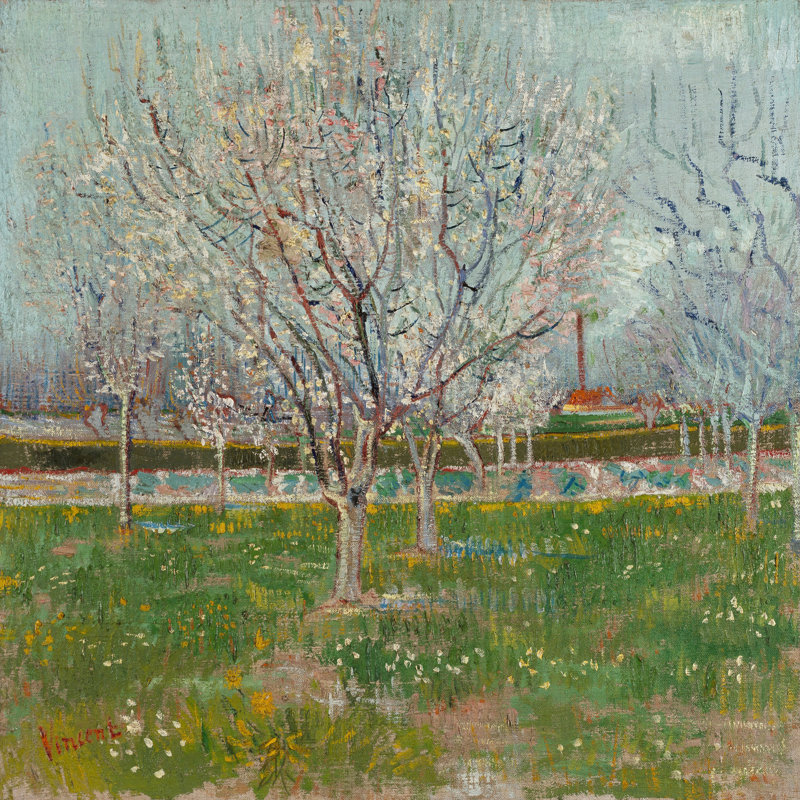 "Orchard in Blossom (Plum Trees)", reproduction sur toile tendue, H 24 po x l 24 po