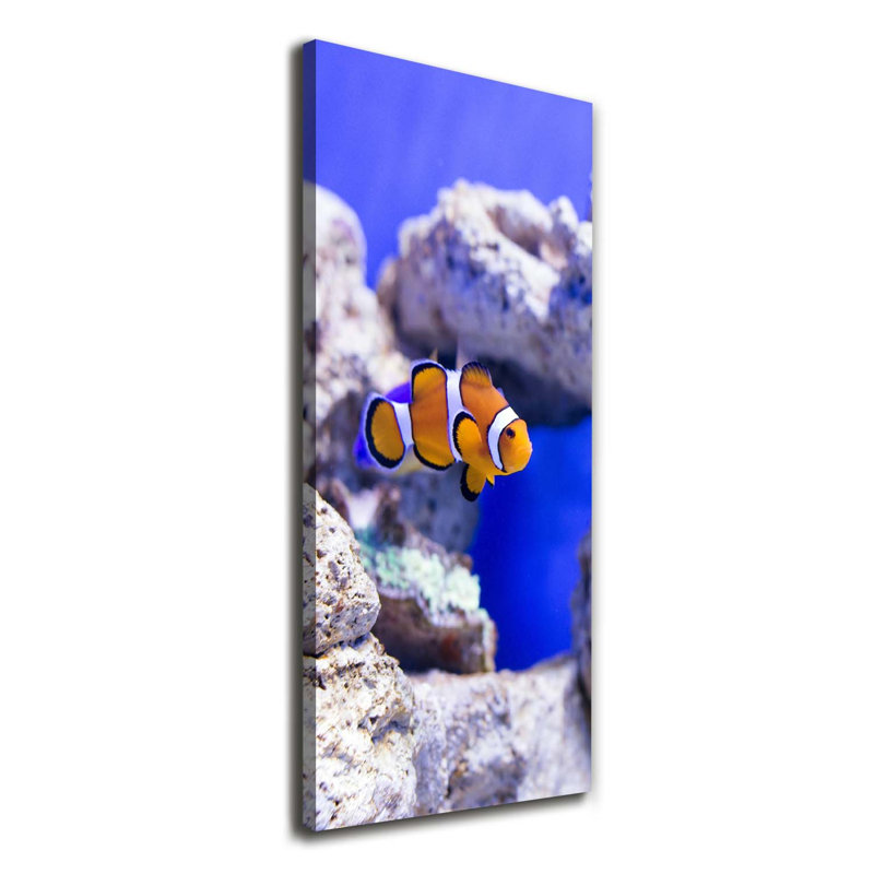Nemo Fish - Wrapped Canvas Print