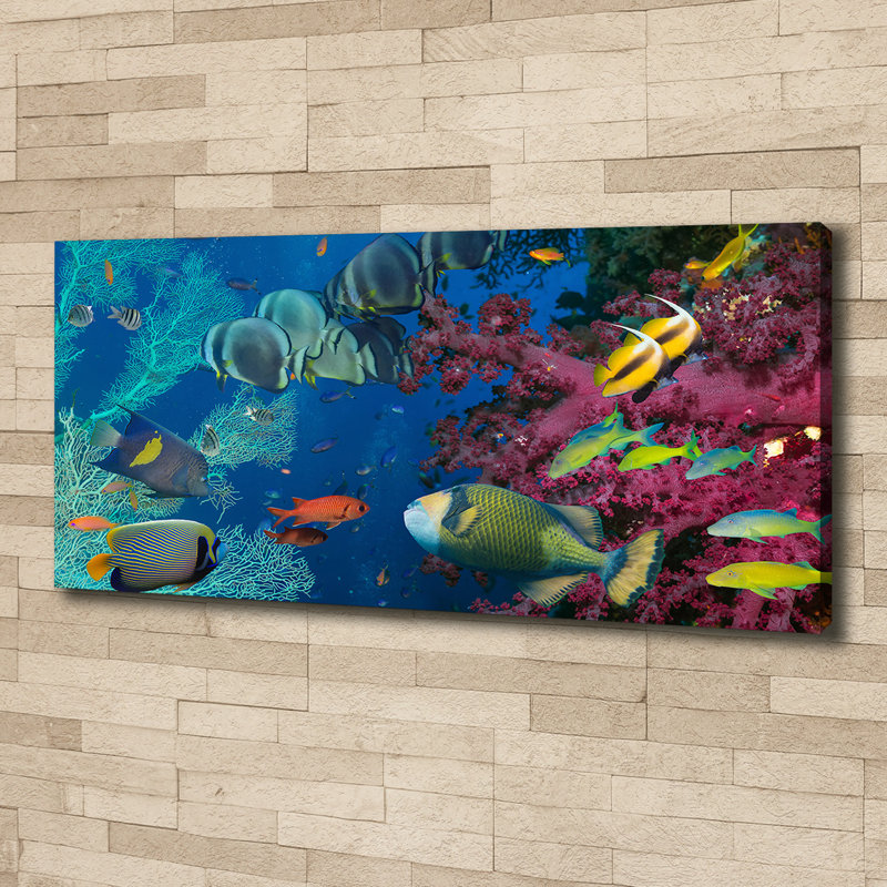 Coral Reef - Wrapped Canvas Print