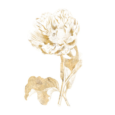 Gilded Botanical VII 1 Piece Wrapped Canvas Painting