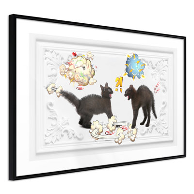 " Cat Fight "