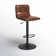 Rawlinson Adjustable Height Low Back Bar Stool with Leather Seat and Metal Base