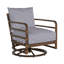 Malibu Swivel Patio Chair with Cushions-83259555-93646925