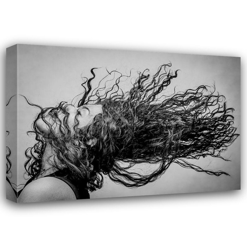 «Red Barrel Studio® Varasteh, Vahid», reproduction d'art sur toile, H 14 po x l 18 po