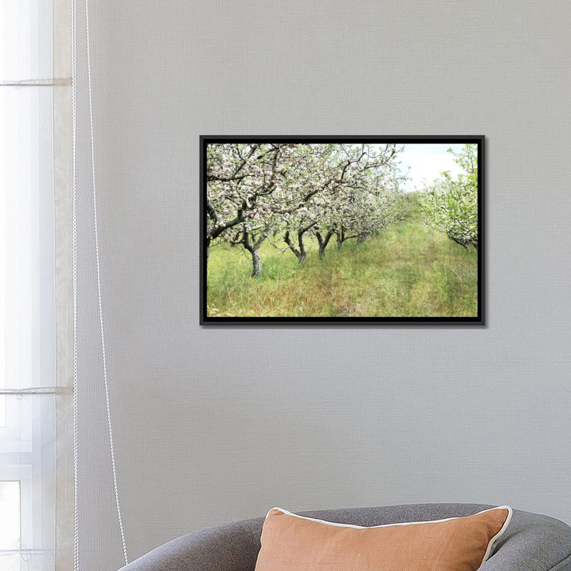 " Apple Orchard " by Lupen Grainne, Black Framed Canvas, No Mat, 18" H x 26" W x 1.5" D