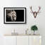 Portrait of a Proud Lion - Framed Print-55767207-55767212