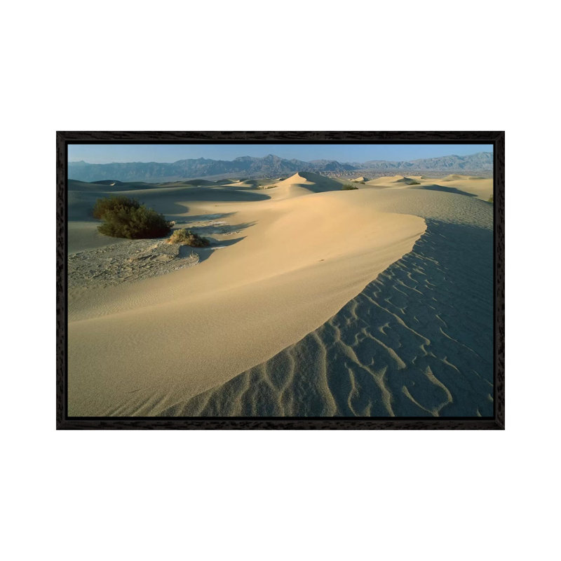Mesquite Flat Sand Dunes, Death Valley National Park, California IV by Tim Fitzharris - Gallery-Wrapped Canvas Giclée on Canvas