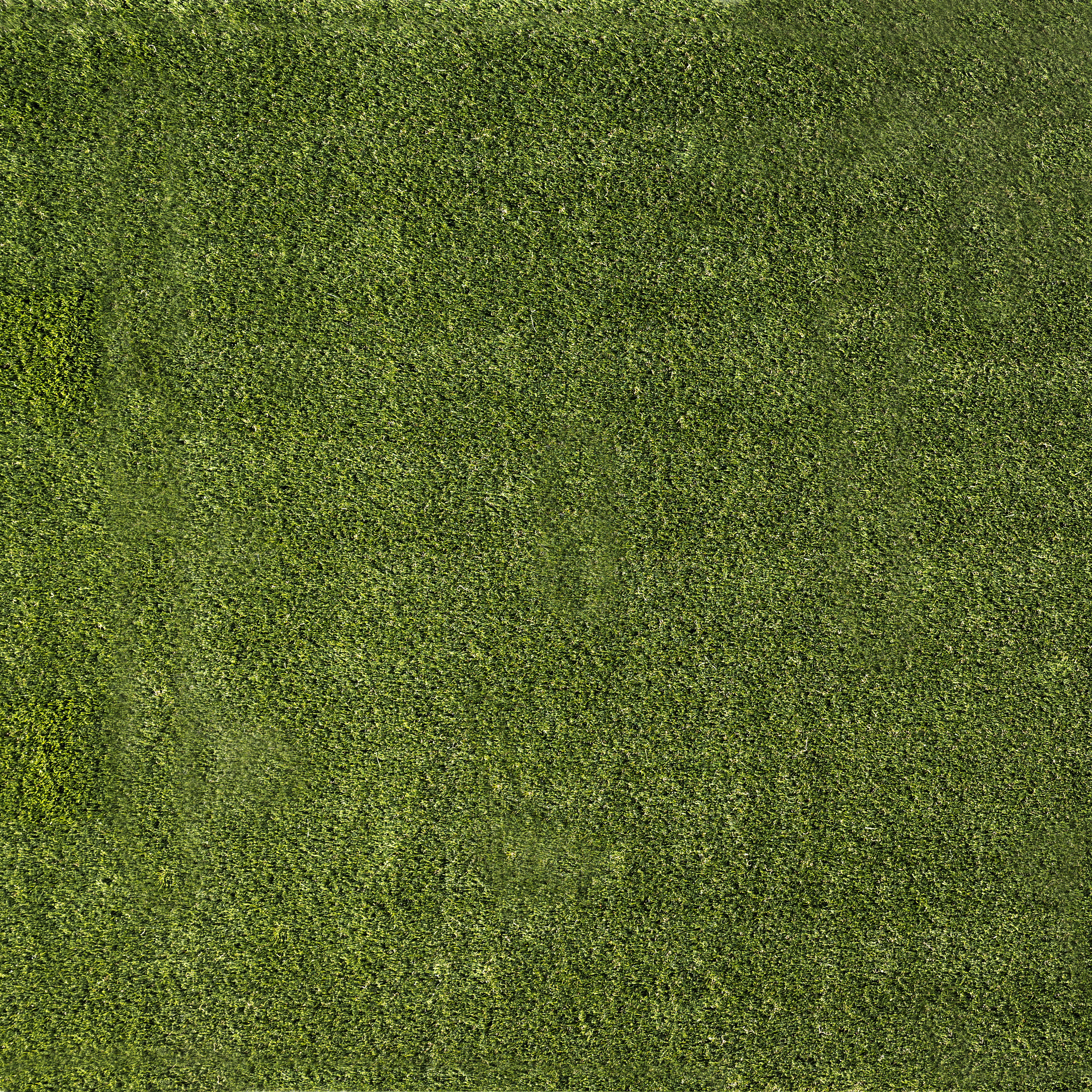 Ackland Verdant Vista Lushscape Green 6 ft x 8 ft Pre-Cut Rug 38 mm ...