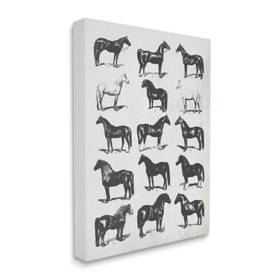 «Vintage Varied Horse Breeds» par Daphne Polselli, impression sur toile tendue