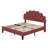 Tayveion Upholstered Platform Bed with Floral Velvet Headboard-684850047-684850046-717470278