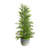 27'' Faux Cedar Tree in Cement Planter