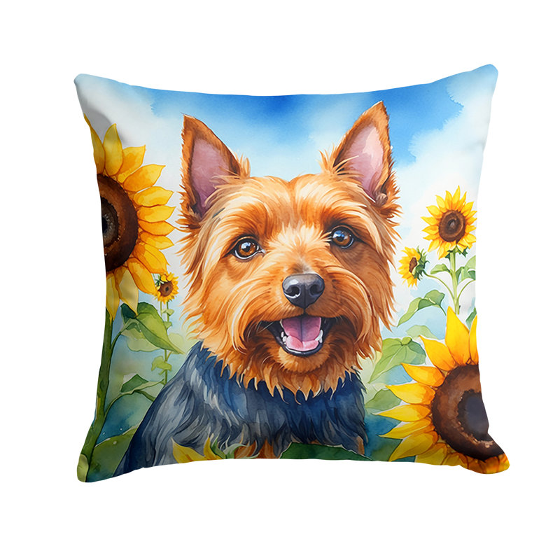 Coussin décoratif intérieur / extérieur Autre / Sans motif, H 18 po x l 18 po
